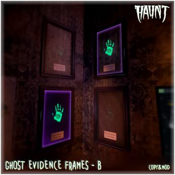 Second Life Marketplace - HAUNT - Ghost Evidence Frames - B